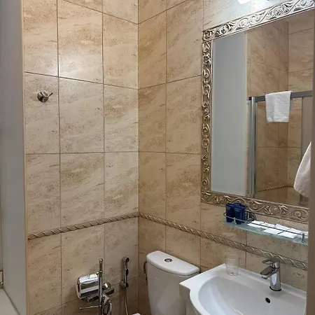 Metro Hotel 3*