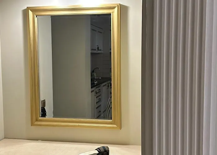 メトロ ホテル アパートメンツ ホテル 3*